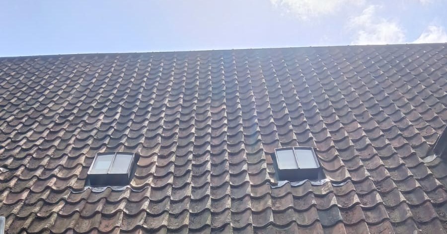 Ferov dakvensters in stijlvol rustiek dak